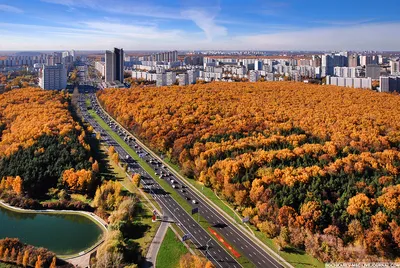 Осень в Москве» — создано в Шедевруме