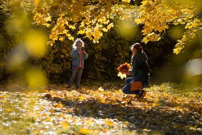 Золотая осень в Москве стоковое изображение. изображение насчитывающей  ландшафт - 34469869