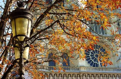 Осень во Франции фото