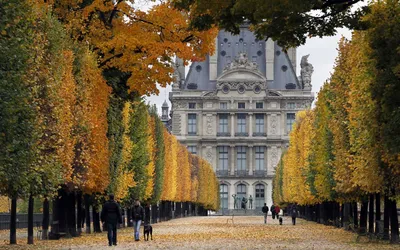 Осень в Париже Лувр редакционное стоковое фото. изображение насчитывающей  франция - 153164858