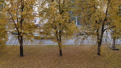 Осень в столице Урала, 2014 год (24 фото - Екатеринбург, Россия) - ФотоТерра