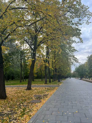 Синоптики заявили, что Екатеринбург и Свердловскую область ждет теплая  осень – ОСН