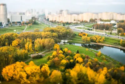 Осенний Минск. — Фото №277976