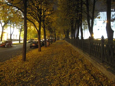 Осенний Минск
