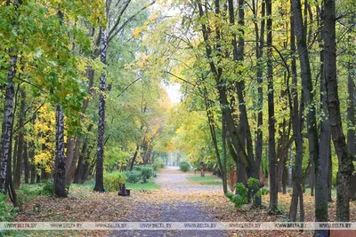 Осенний Минск (часть 1 - центр и Верхний город) | Пикабу