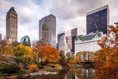 Осень в Central Park
