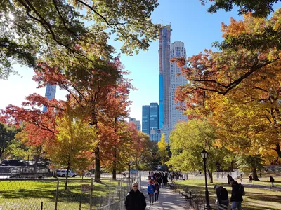 Осень в Нью-Йорке. 📷 @212sid 📍 Нью-Йорк, США ➖➖➖➖➖➖➖➖➖➖➖➖➖ Поделитесь с  нами своими фотографиями, и мы разместим их в нашем… | Instagram