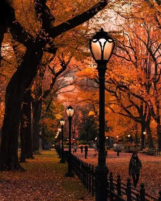 Онлайн пазл «Осень в Нью-Йорке»