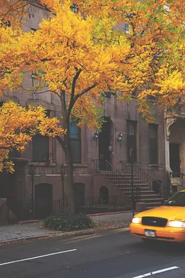 Бесплатные Осень в Нью-Йорке 3 стоковые фотографии | FreeImages