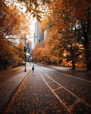 Идеи на тему «Осень в Нью Йорке» (9) | осенние картинки, нью-йорк, пейзажи