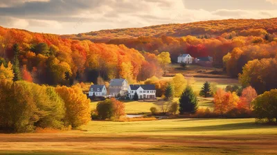 Picture New York City USA Autumn Pond Parks Cities Building