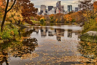 Осенний Нью Йорк, осенний город, …» — создано в Шедевруме