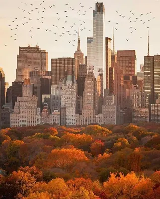 Осень в Нью-Йорке: 10 причин почему
