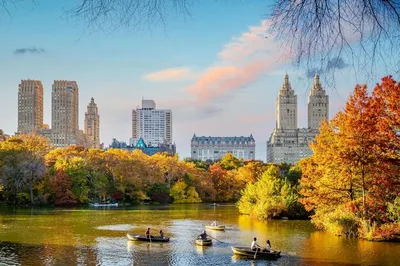 Вид на Нью-Йорк с улицы осени Редакционное Фото - изображение насчитывающей  листья, озеро: 162011761