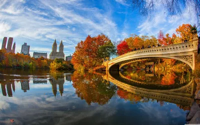 🖤🖤🖤 Нью-Йорк, центропарк, осень, …» — создано в Шедевруме