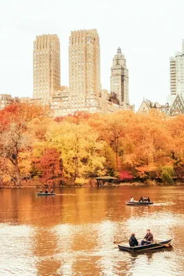 Красота без политики. Осенний Нью-Йорк. Город, который я люблю, но в  котором не хотел бы жить | RЯБИНИН | ФОТОПУТЕШЕСТВИЯ | Дзен