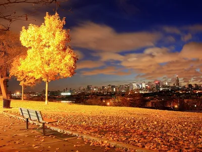 Осенний нью йорк обои - 66 фото