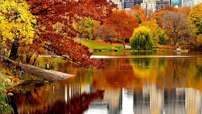 Золотая осень в Нью-Йорке, Хай-Лайн парк