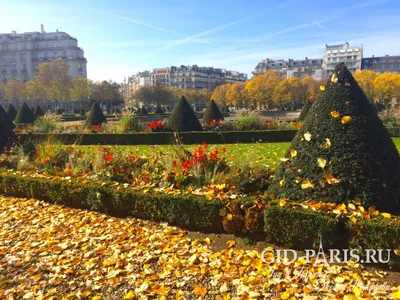 Осенний Париж на фотографиях palasatka
