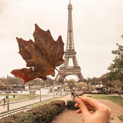 Осень в париже» — создано в Шедевруме