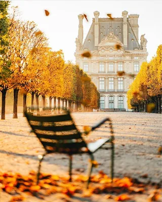 осень в париже фото в париже идеи для фото в париже фото в парижском стиле  paris style instagram paris photo эйфелева башня фото фра… | Париж,  Эйфелева башня, Башня