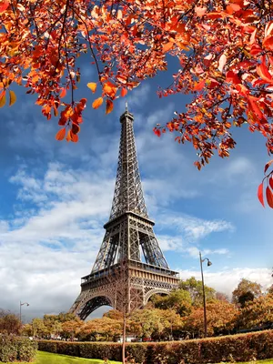 Романтичный Осенний Париж | Paris-Life.info