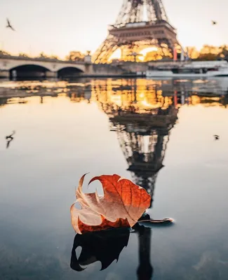 Париж осенью - 63 фото