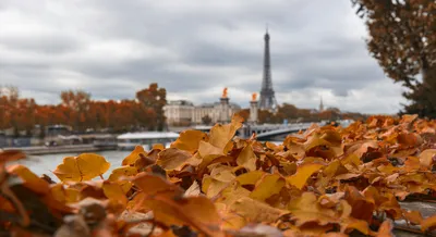 Осенний Париж, вечер, красиво, …» — создано в Шедевруме