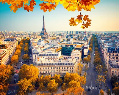 Autumn in Paris / Осень в Париже | Dmitrii Loktionov | Flickr
