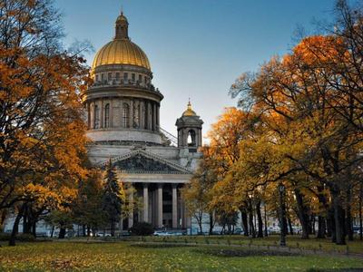 Осенние каникулы в Петербурге: где вкусно поесть и послушать березы |  Ассоциация Туроператоров