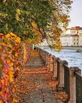 Осенние парки Санкт-Петербурга: 10 живописных мест для прогулок