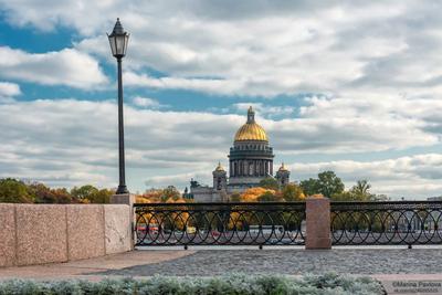 Самые сказочные фотографии золотой осени в Петербурге - KP.RU