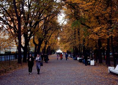 Осенний пейзаж в садах Санкт-Петербурга Стоковое Фото - изображение  насчитывающей завод, озеро: 160999762