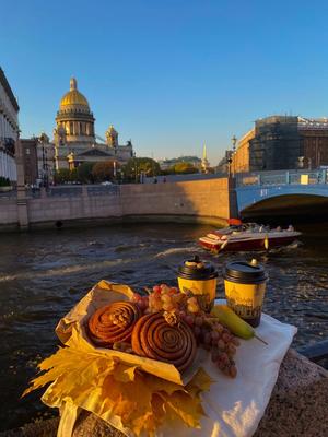 Осенние каникулы в Петербурге: где вкусно поесть и послушать березы |  Ассоциация Туроператоров