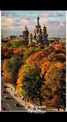 Осенний парк в Пушкине Санкт-Петербург Доброе утро Стоковое Фото -  изображение насчитывающей тоска, печаль: 161309942