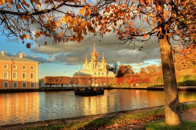 Осенний Санкт-Петербург✨ в 2024 г | Осень, Осенний пейзаж, Санкт петербург