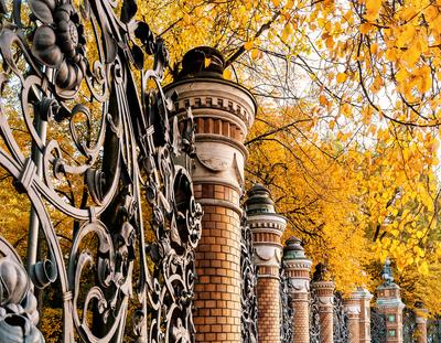 Красивые места Санкт-Петербурга для прогулки осенью