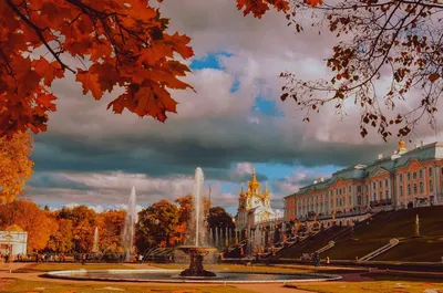 Обои на рабочий стол Осенний Санкт-Петербург, Невский проспект, фотограф Ed  Gordeev, обои для рабочего стола, скачать обои, обои бесплатно