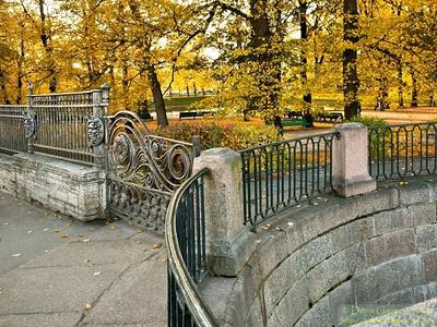 Осенний портрет великого города Петербурга. Тур на 6 дней | Большая Страна