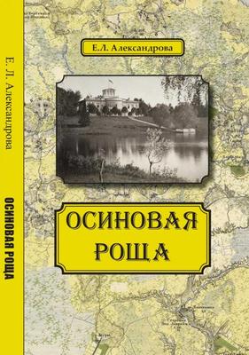 Парк «Осиновая Роща», СПб — рельеф, история, карта, описание, фото, отзывы,  как добраться