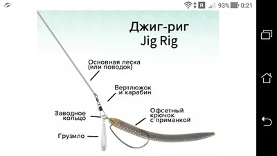 Рыбалка на джиг-риг: схема и монтаж джиговой снасти на спиннинг | Фото  заметки из моей жизни в Крым | Дзен