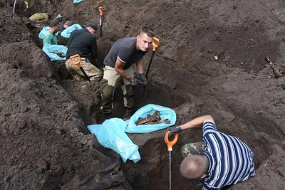 Останки нескольких десятков немецких солдат найдены в Ростовской области