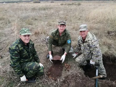 В Красноперекопском районе Крыма обнаружили останки немецких солдат времен  Великой Отечественной войны - KP.RU