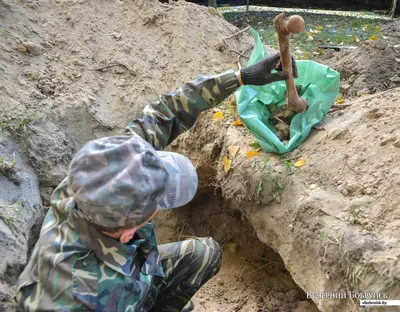 Курские поисковики обнаружили останки двух немецких солдат в Ольховатке »  46ТВ Курское Интернет Телевидение