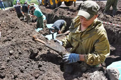 Под Кривым Рогом волонтеры обнаружили останки солдат Вермахта | Репортер