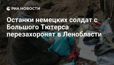 В Апостоловском районе нашли останки немецких солдат | Інформатор Нікополь