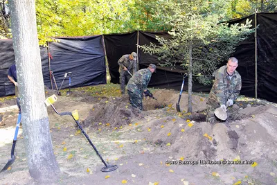 Российские и немецкие военные вместе ищут останки погибших в годы ВОВ ::  Новости :: ТВ Центр