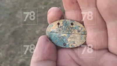 Видео с раскопок в Ардоне, где во время строительных работ были обнаружены останки  немецких солдат времён Второй Мировой… | Instagram