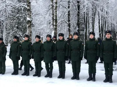 Останки немецких солдат нашли в Калининграде | Победа РФ