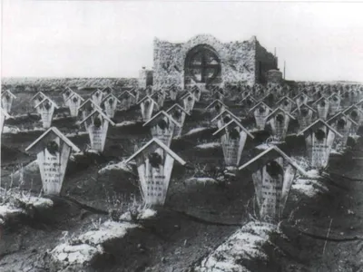 В Берёзовском районе перезахоронили останки солдат Первой и Второй мировых  войн — Городской портал г.Берёза